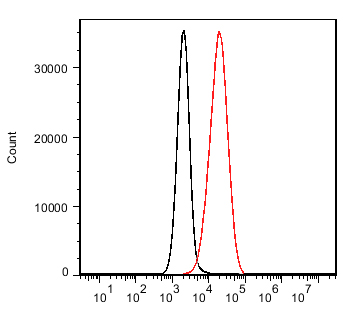 CD19 Ab