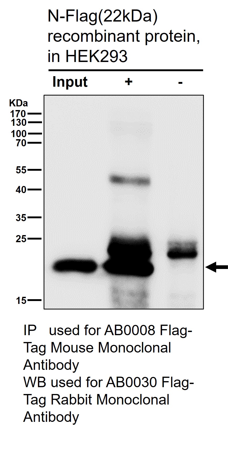 Flag tag Ab