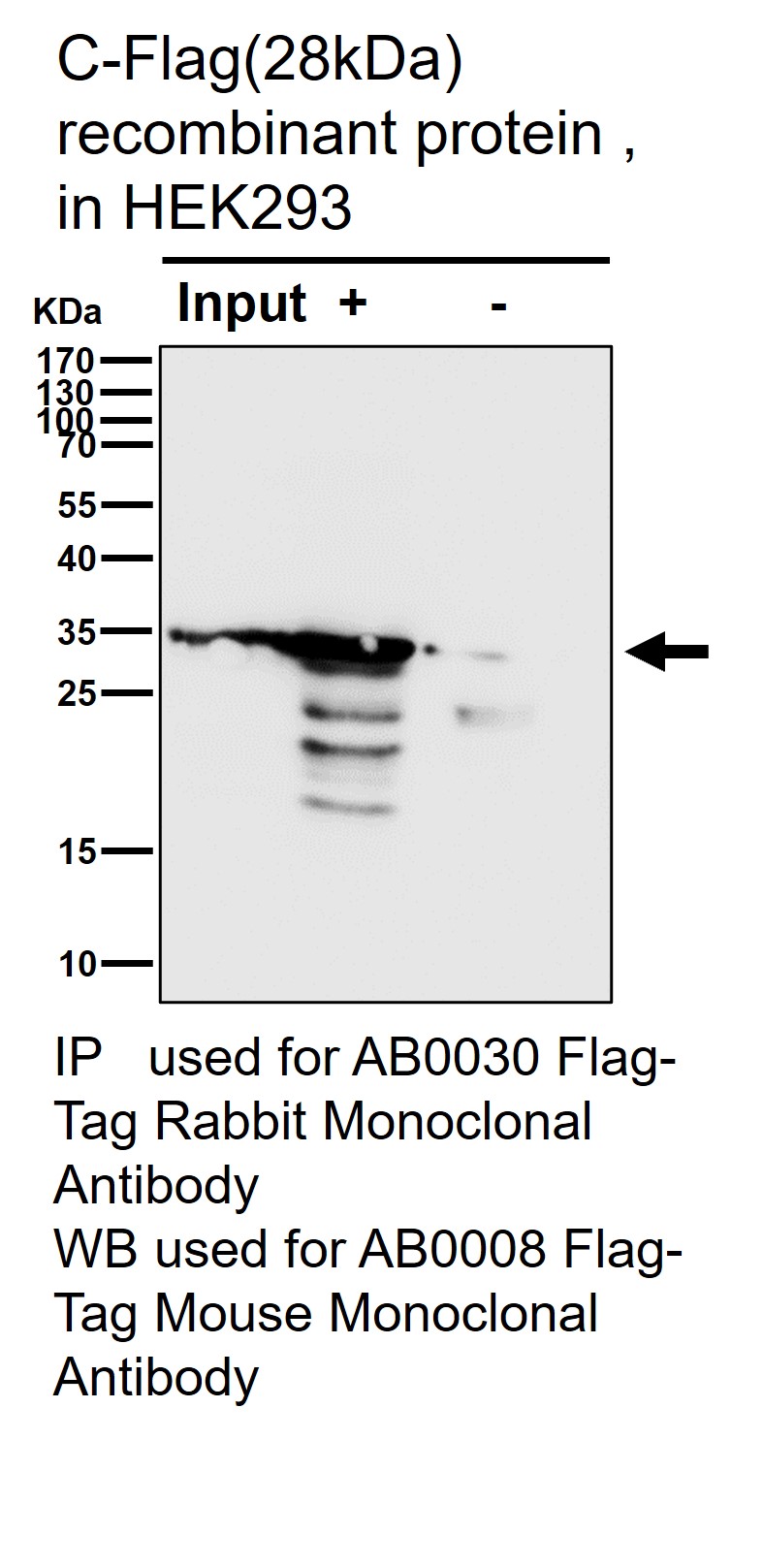 Flag tag Ab