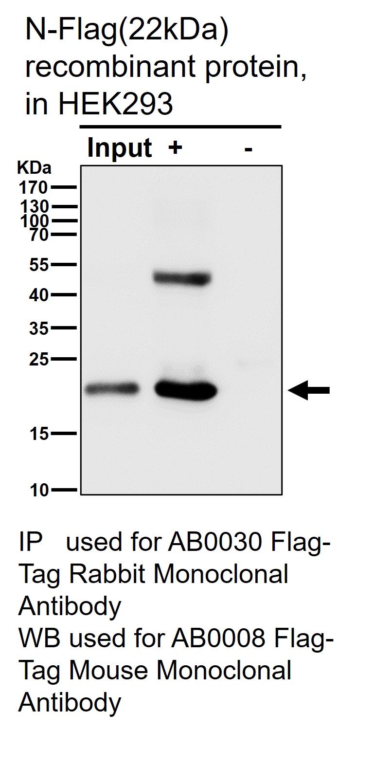 Flag tag Ab